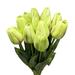 Primrue Real Touch Tulip Stems in Green/Yellow | 18 H x 4 W x 4 D in | Wayfair 595FC5C14BFC43F9BF8BA21FC9DFB817