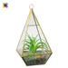 The Holiday Aisle® 9.45" Artificial Succulent Succulent in Terrarium Plastic/Metal | 9.45 H x 4.76 W x 4.72 D in | Wayfair