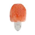 Himalayan Salt Lamp Natural Crystal Salt Light Glow Hand Carved Night Lights Wall Light for Lighting Decoration and Air Purifying style 1ï¼ŒG26950