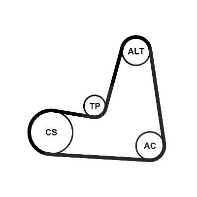 Continental Ctam Keilrippenriemensatz [Hersteller-Nr. 6PK1130K2] für Dacia, Lada, Nissan, Renault Image