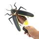 Simulated Insect Prank Toy Trickster Novelty Home Decor Multicolor Infrared Remote Control Electronic Gift Friends