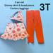 Disney Bottoms | Disney Carters 2 Pc Set. Skirt And Pants. Both Size 3t, Girls, Floral | Color: Orange/Pink | Size: 3tg