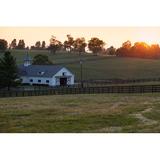 Gracie Oaks Horse Farm Sunset by Alexeys - Wrapped Canvas Photograph Canvas in White | 24 H x 36 W x 1.25 D in | Wayfair