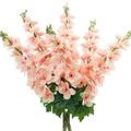 FiveSeasonStuff Real Touch Delphinium Peach Pink Flowers Artificial Flowers, Wildflower Arrangements 6 Stems 59cm