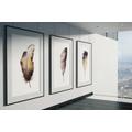 3 Feather Fine Art Prints On Watercolour Paper - Of Feathers No.1, No.2 & No.4 Watercolor Paintings