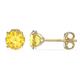 9Ct Yellow Gold Birthstone Stud Earrings For Women Girls November Coloured Cubic Zirconia Topaz. 5mm 5mm