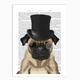 Pug Formal Hound & Hat Print