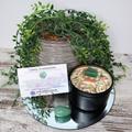 Good Luck + Fortune 100% Natural Soy Candle 8Oz Tin