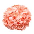 Coral Rose Petals For Wedding Confetti/Decoration. Preserved Petals, Biodegradable