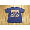 Vintage 1995 Chicago Bears Nfl T-Shirt/Single Stitch 90S Streetwear Athleisure Sportswear Naturally Distressed