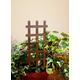 Stainless Steel Plant Support | Crosses Herb