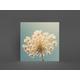 Floral Greeting Card, Flower Card - Queen Anne's Lace