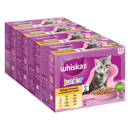 48x 85g Megapack Whiskas Junior Frischebeutel Geflügel Auswahl in Gelee Katzenfutter nass