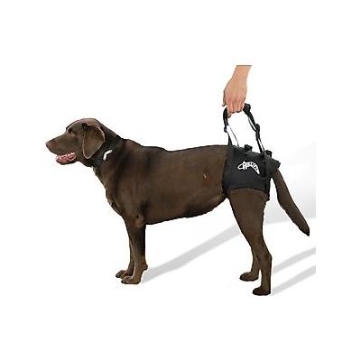 WALKABOUT Airlift One Rear Support Dog & Cat Lifting Harness, X-Small