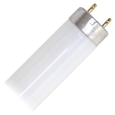 Sunlite 30140 - F25T8/SP735 3 Foot Plus Straight T8 Fluorescent Tube Light Bulb