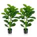 Primrue 2 - Piece Artificial Fiddle Leaf Fig Plant in Pot Set Plastic | 35.5 H x 5 W x 5 D in | Wayfair 4FB2452320E6483994FE1C893925CBBE