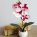 Yirtree Fake Orchid Assortment Mini Potted Orchid Plants with Wood Planter Box Artificial Phalaenopsis Orchid Flowers in Pots for Indoor Office Desk Room Kitchen Table DÃ©cor Centerpiece