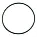 Pentair 152509 8.5 Square Ring for Pool or Spa Filter and Pump