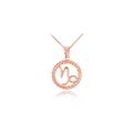 Circle Rope Capricorn Zodiac Necklace in 9ct Rose Gold