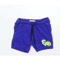 Blue Zoo Boys Blue Sweat Shorts Size 2-3 Years