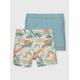Dinosaur Nappy Swimshorts 2 Pack 9-12 months