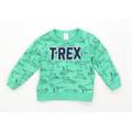 Carters Boys Graphic Green T-Rex Sweatshirt Age 2 Years