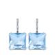 Millenia Swarovski Pendant Earrings