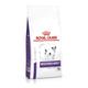 ROYAL CANIN® Neutered Adult Small Dog Dry Food - 8kg