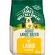 James Wellbeloved Adult Large Breed Dog Dry Food Lamb and Rice - 15kg