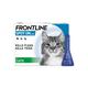 FRONTLINE Spot On Flea and Tick Treatment Dogs and Cats - Cat - 6 Pack