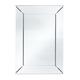 Pacific Mirrored Glass Rectangle Wall Mirror
