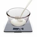 Salter Brushed Stainless Steel Digital Kitchen Scales