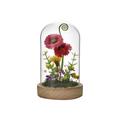 The Cottage Glass Flower Vase With Dome