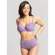 Panache Envy Deep Brief - Violet, Purple, Size 10, Women