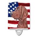 Caroline's Treasures Redbone Coonhound with American Flag USA Ceramic Night Light Multicolored 6x4x3"