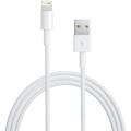 Apple Lightning to USB Cable (White) 1M
