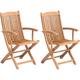 Set of 2 Wooden Garden Folding Chairs Outdoor Dining Light Wood Maui - Light Wood