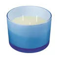 Blue Lemon Grass Citronella Scented Candle 900G, Small