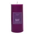 Dark Purple Blackberry Pillar Candle 475G, Large