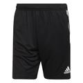 adidas Condivo 22 Training Shorts