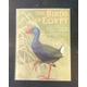The Birds of Egypt Steven M. Goodman & Peter L. Meininger [Near Fine] [Hardcover]