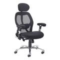 Sandro Mesh Back Ergonomic Executive Office Chair With Head Rest - Black