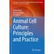 Animal Cell Culture: Principles and Practice