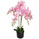 Hommoo - Artificial Orchid Plant with Pot 75 cm Pink VD10533