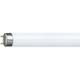 Philips Lighting 70 W T8 6ft Fluorescent Tubes, 6200 lm, 1800mm, G13