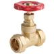 RS PRO Gate Valve, 0.86in