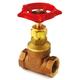 RS PRO Gate Valve, 1/2in