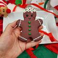 Christmas Gingerbread Biscuit