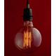 Globe Edison Vintage Style Light Bulb 40 W E27 B22