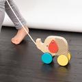 Eco Friendly Colourful Pull Along Wooden Elephant